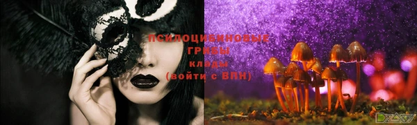 дурь Алексин
