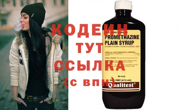 дурь Алексин