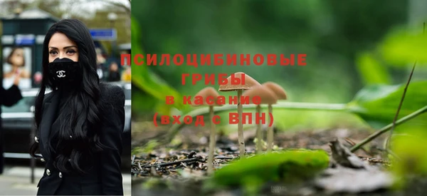 spice Алексеевка